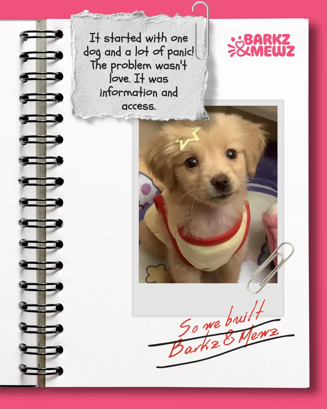 Barkz & Mewz origin story notebook