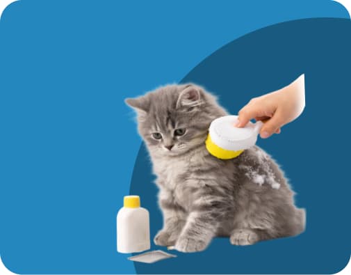 cat grooming products online India