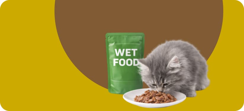 wet cat food online India