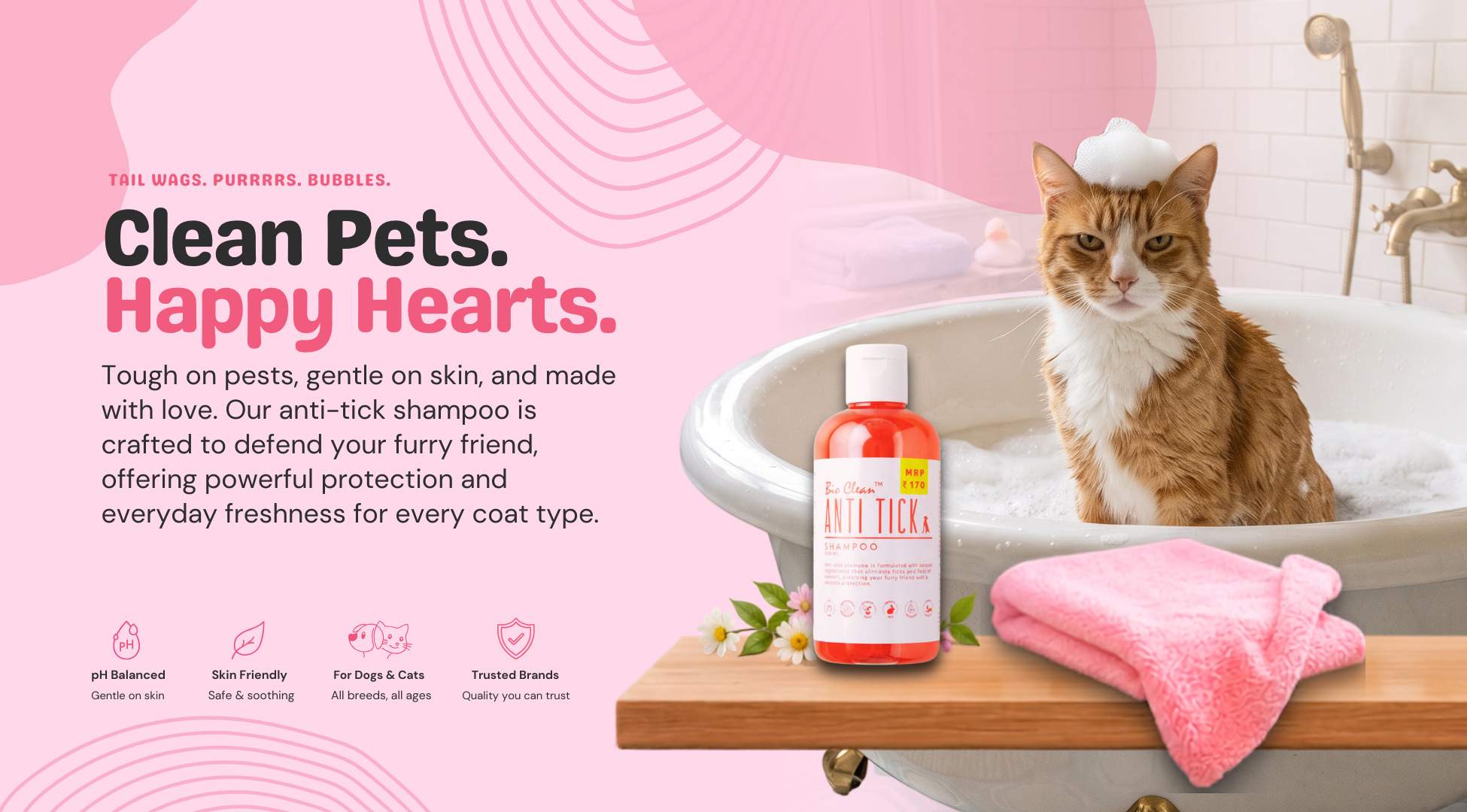 Mewz cat banner