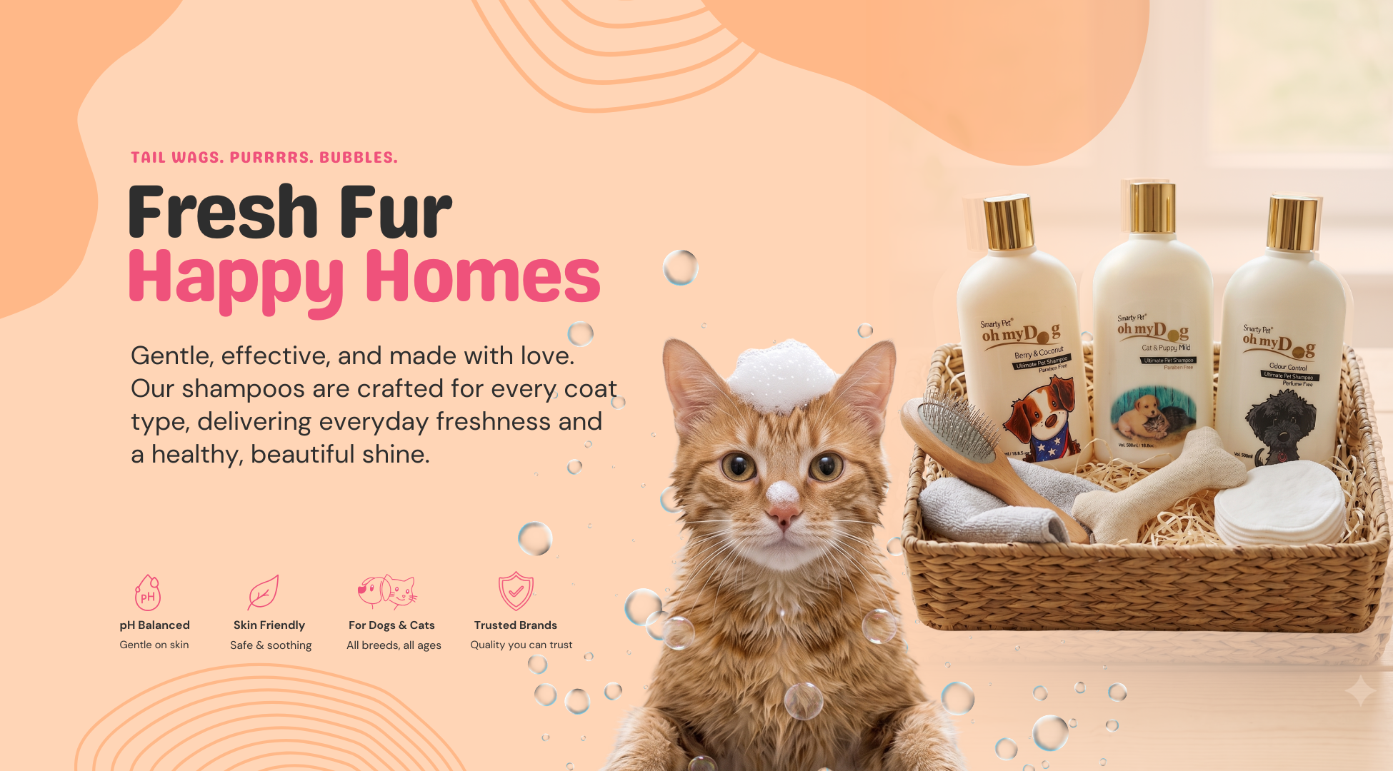 Mewz cat essentials banner